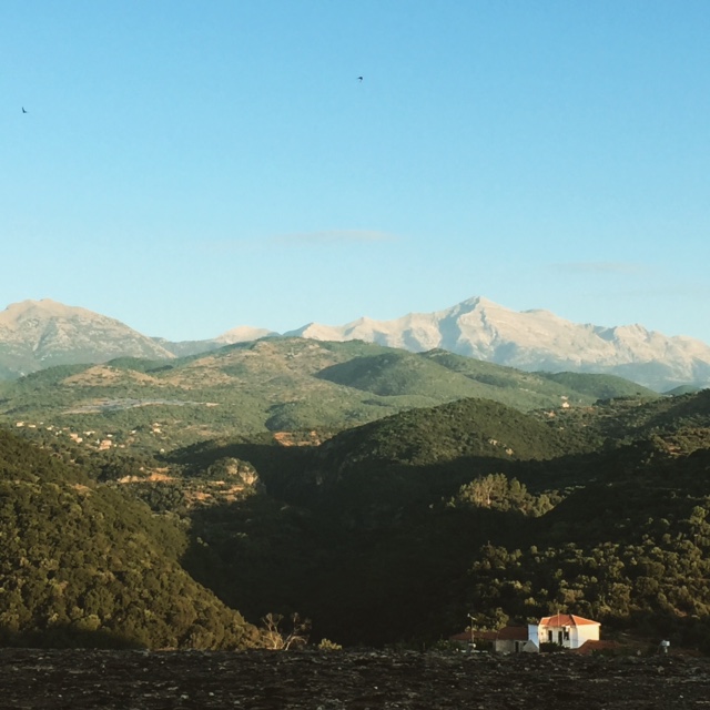 Petrina_end articleMED